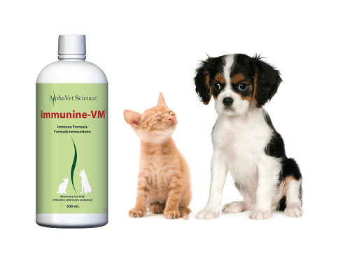 Immunine-VM-500×375