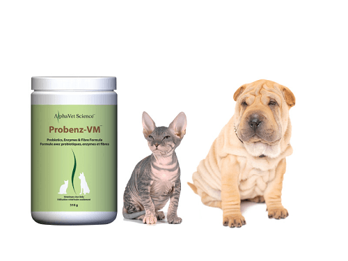 Probenz-VM-500×375