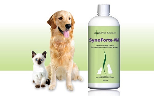 SynoForte-VM-500×312
