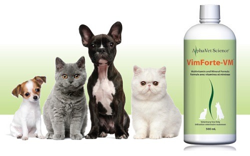 VimForte-VM-500x312jpg